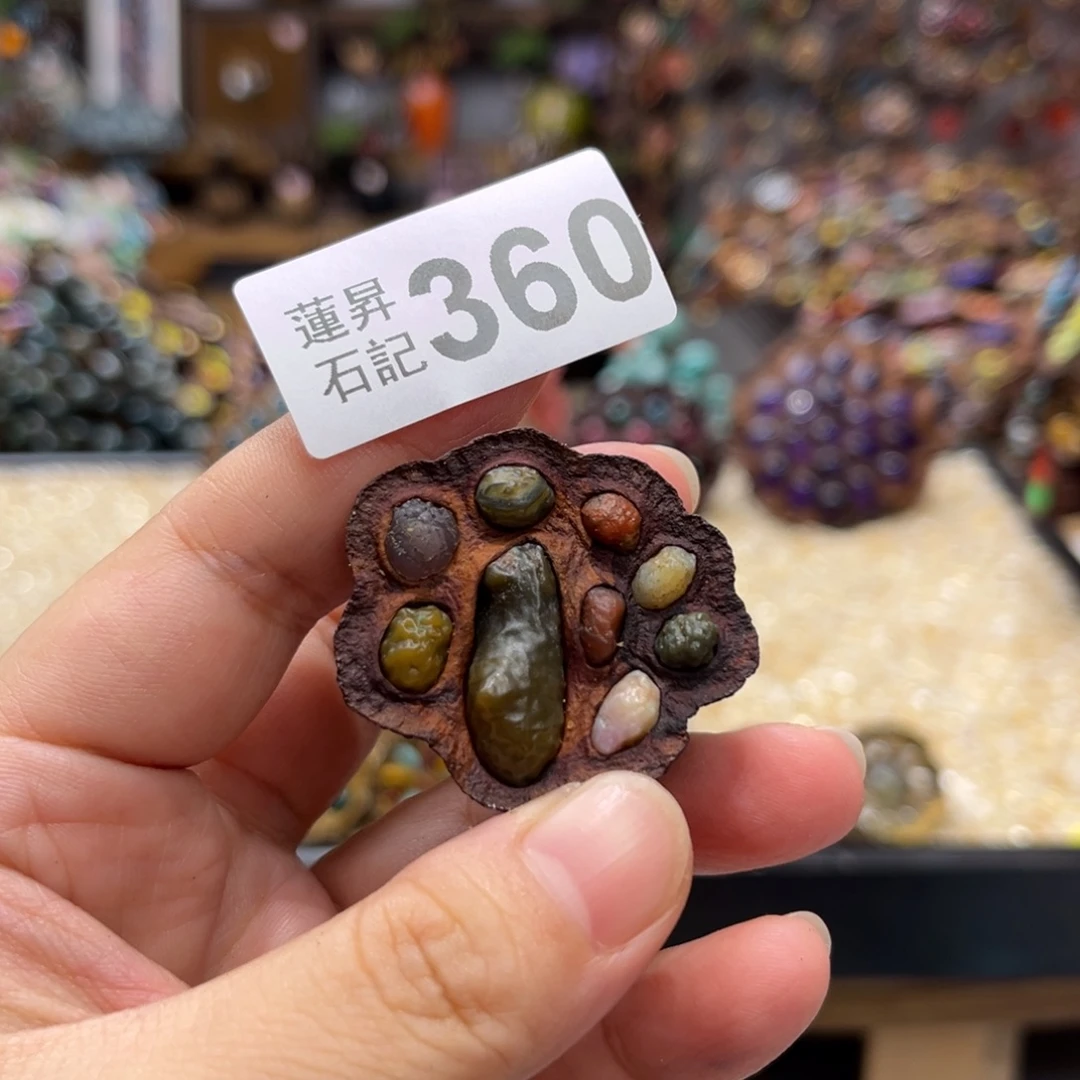 晚***秋核桃木/黑胡桃（胡桃木）360
