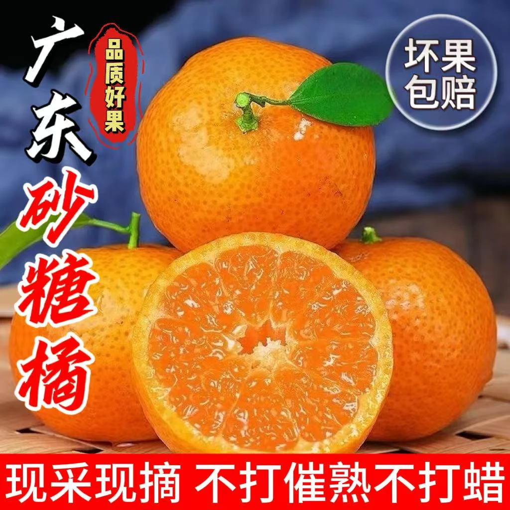 【正宗广东砂糖橘】新鲜砂糖橘无籽皮薄应季水果