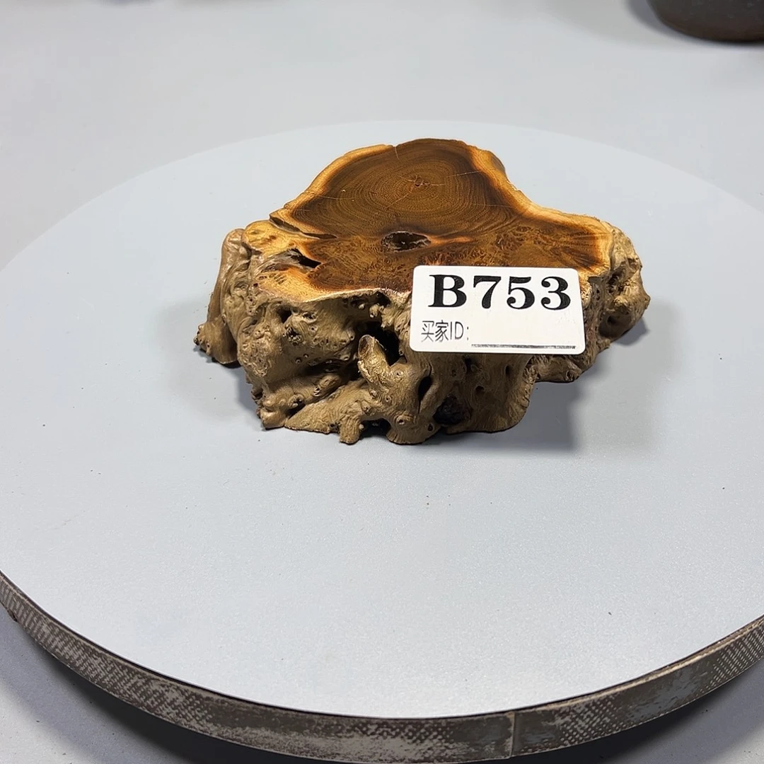 大果紫檀（缅甸花梨）伟*