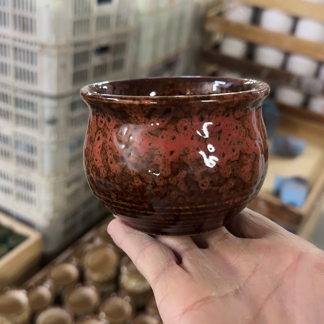 福利局绿植多肉盆［凑9元包邮24小时发］