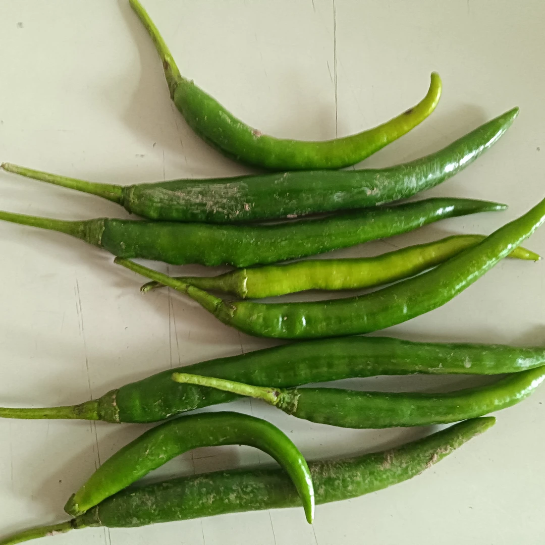 农家蔬菜现二青条辣椒二荊条辣椒现摘现发新鲜