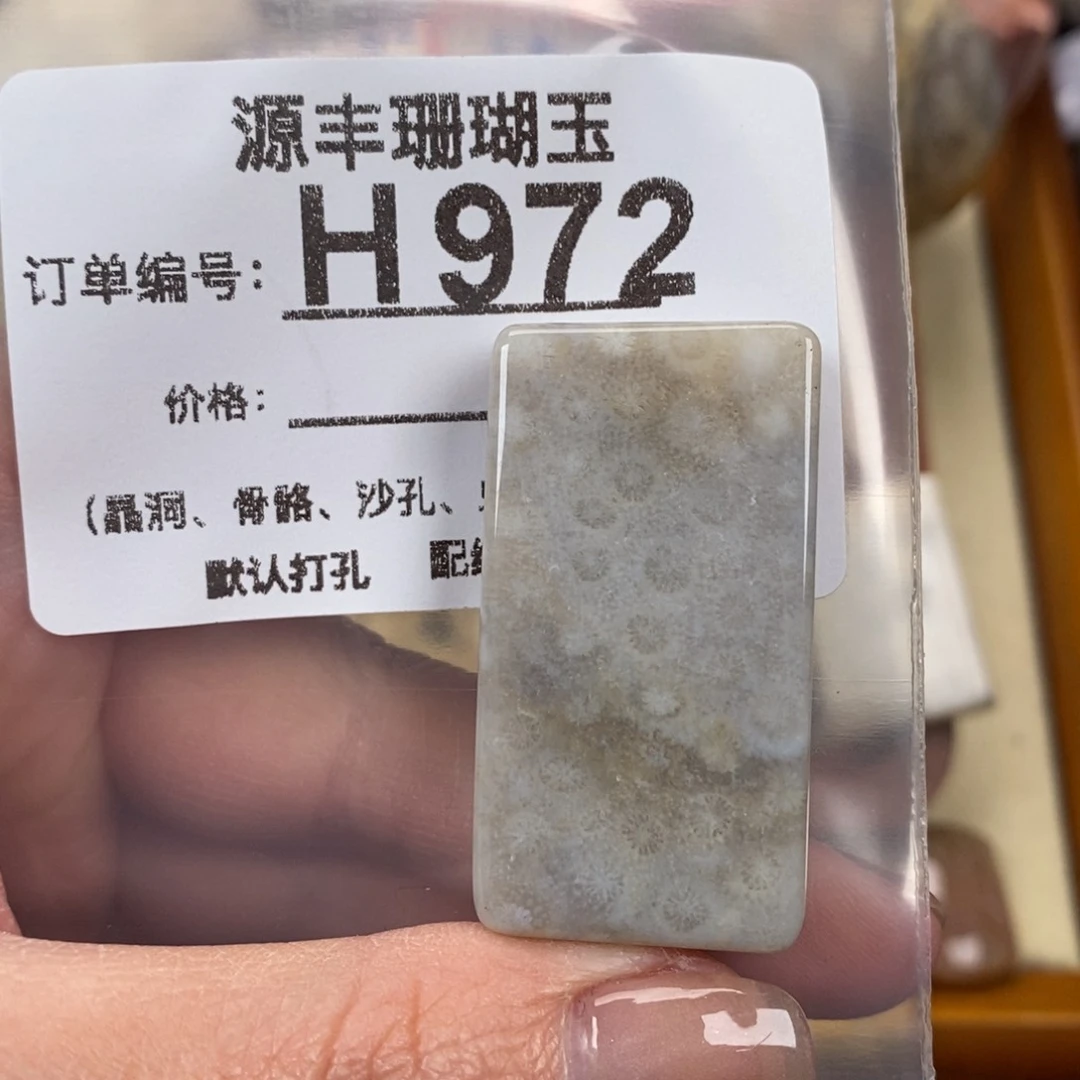 硅化玉颈饰未镶嵌木*