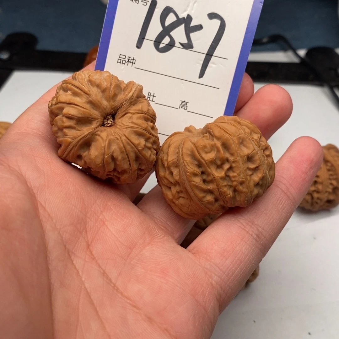 把件文玩核桃1857