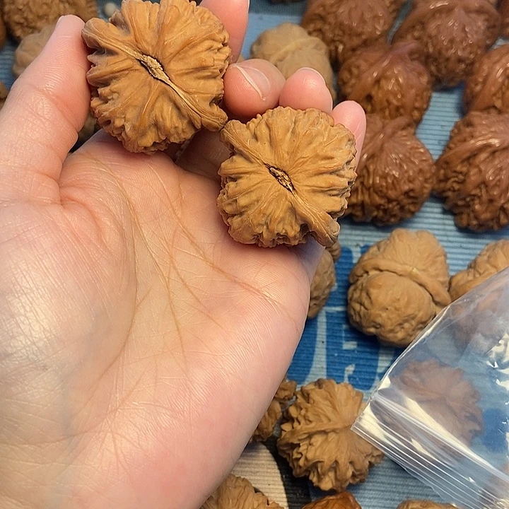 吊坠文玩核桃39白狮子