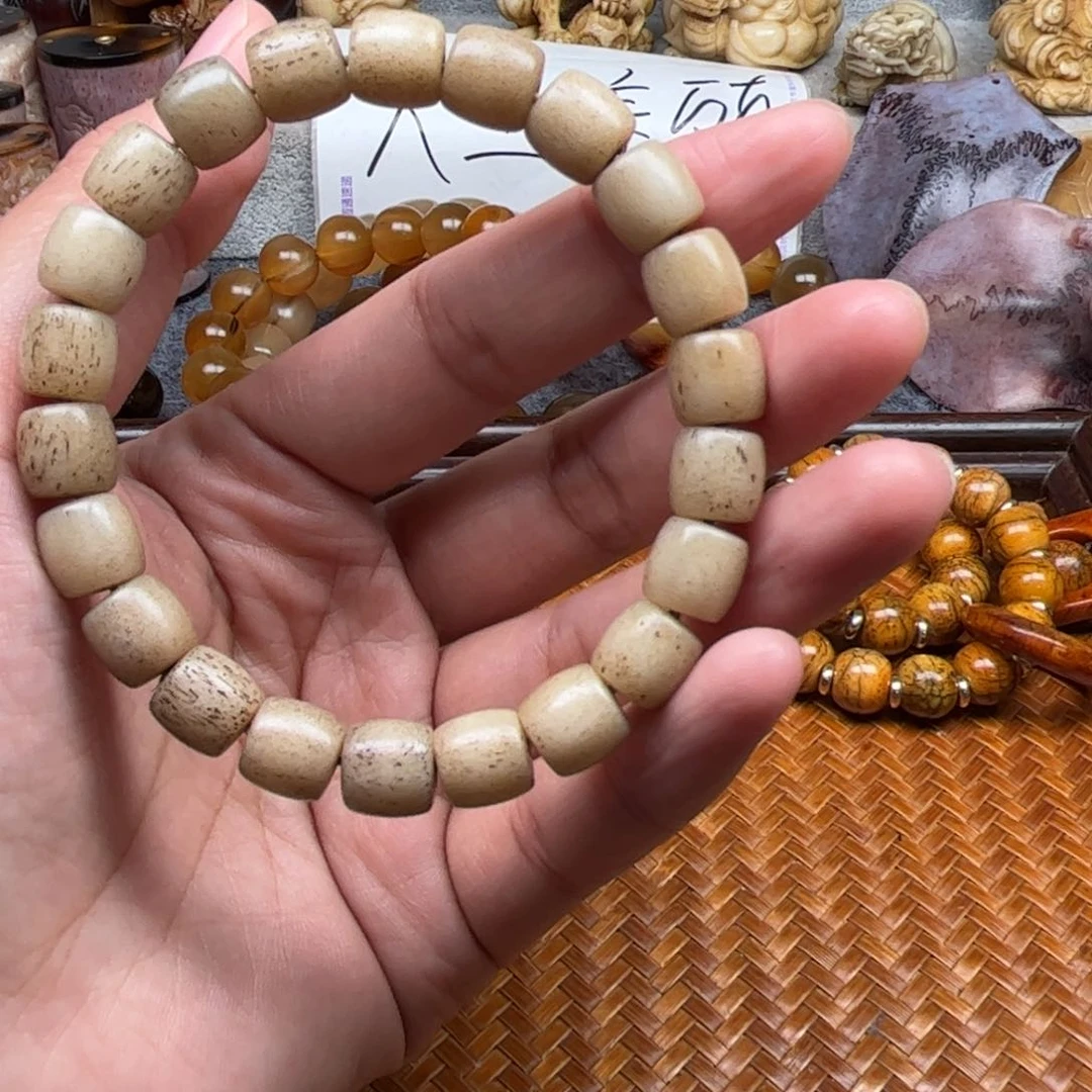 鹿骨其他人工养殖驼骨26