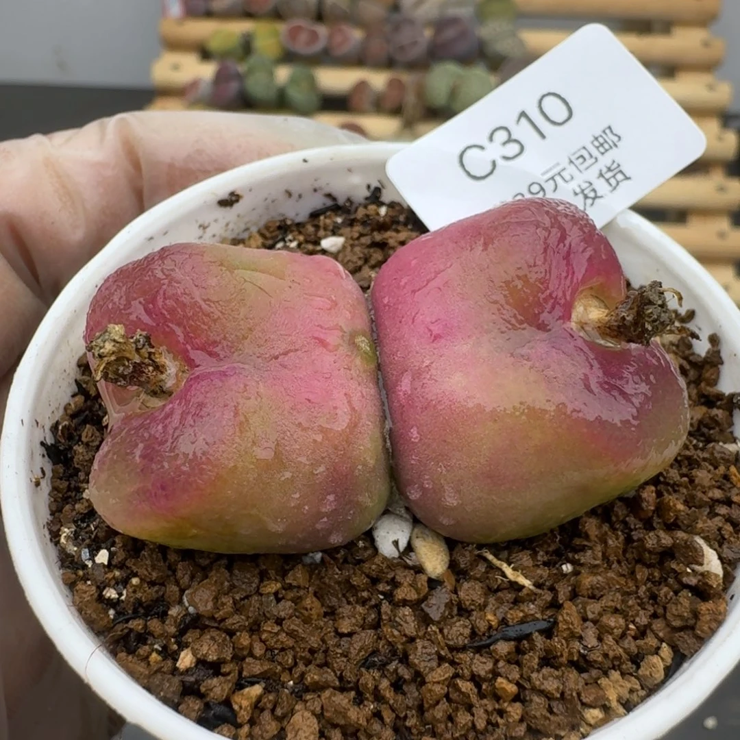 320哈哈哈哈哈哈哈哈哈