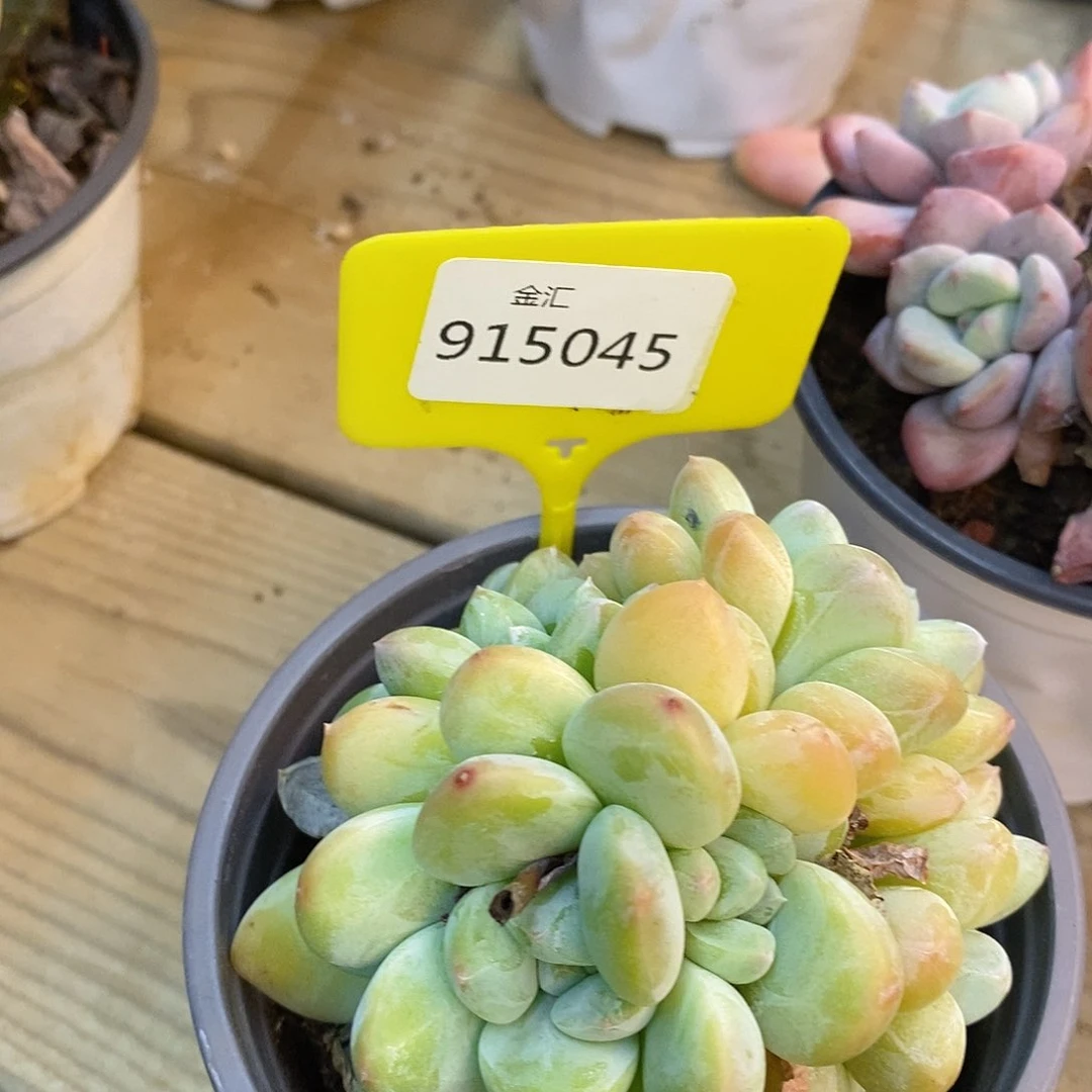多****喵福利多多。915045