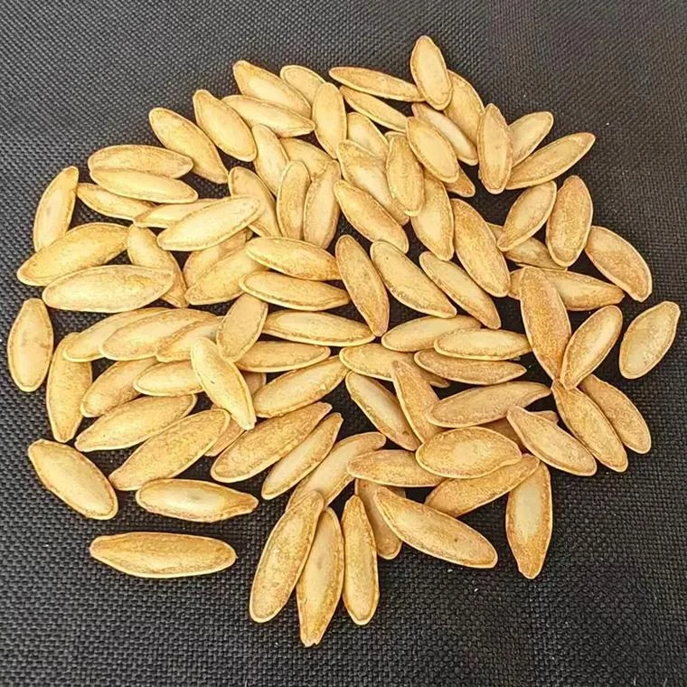 新疆美人甲南瓜子椒盐口味袋装批发包邮