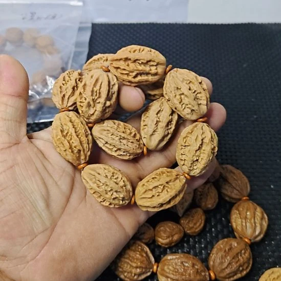 木质类纯野生山核桃       3