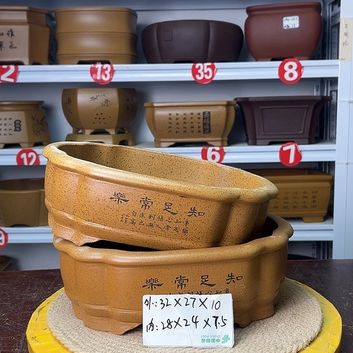 紫砂花盆你在一起