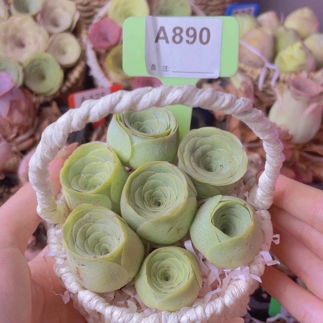 花篮一物一拍890号