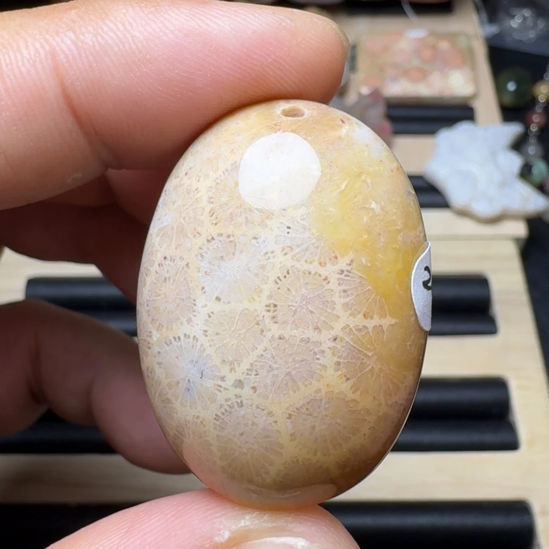 未镶嵌纯天然色有机玉石保真色硅化玉