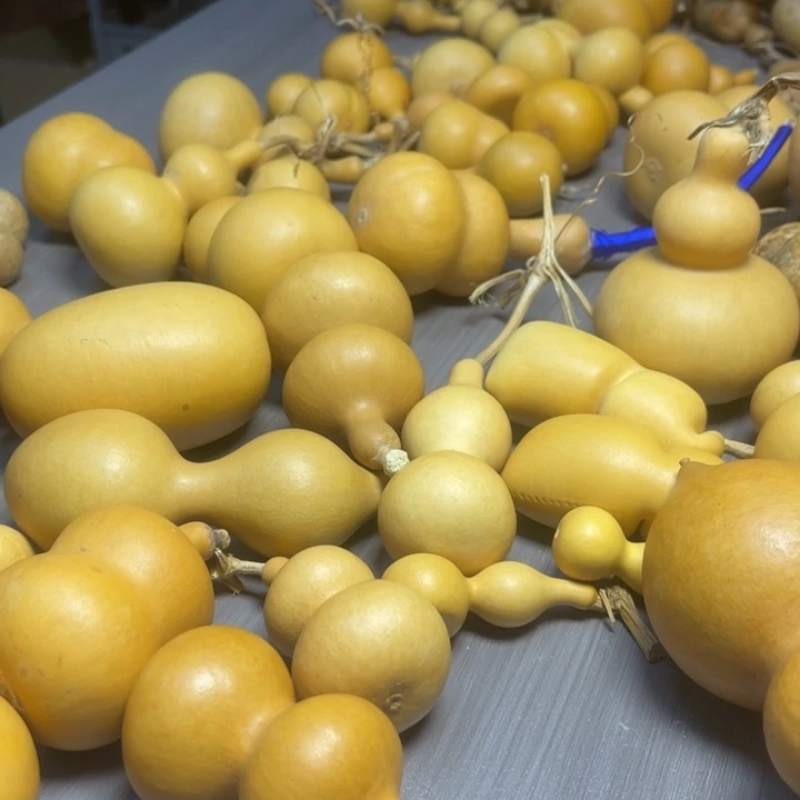 缘***梦健健康康快快乐乐