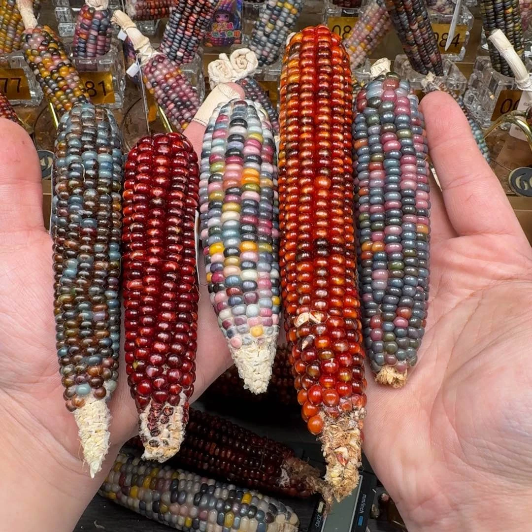 柏香籽/百香籽吊坠。**o