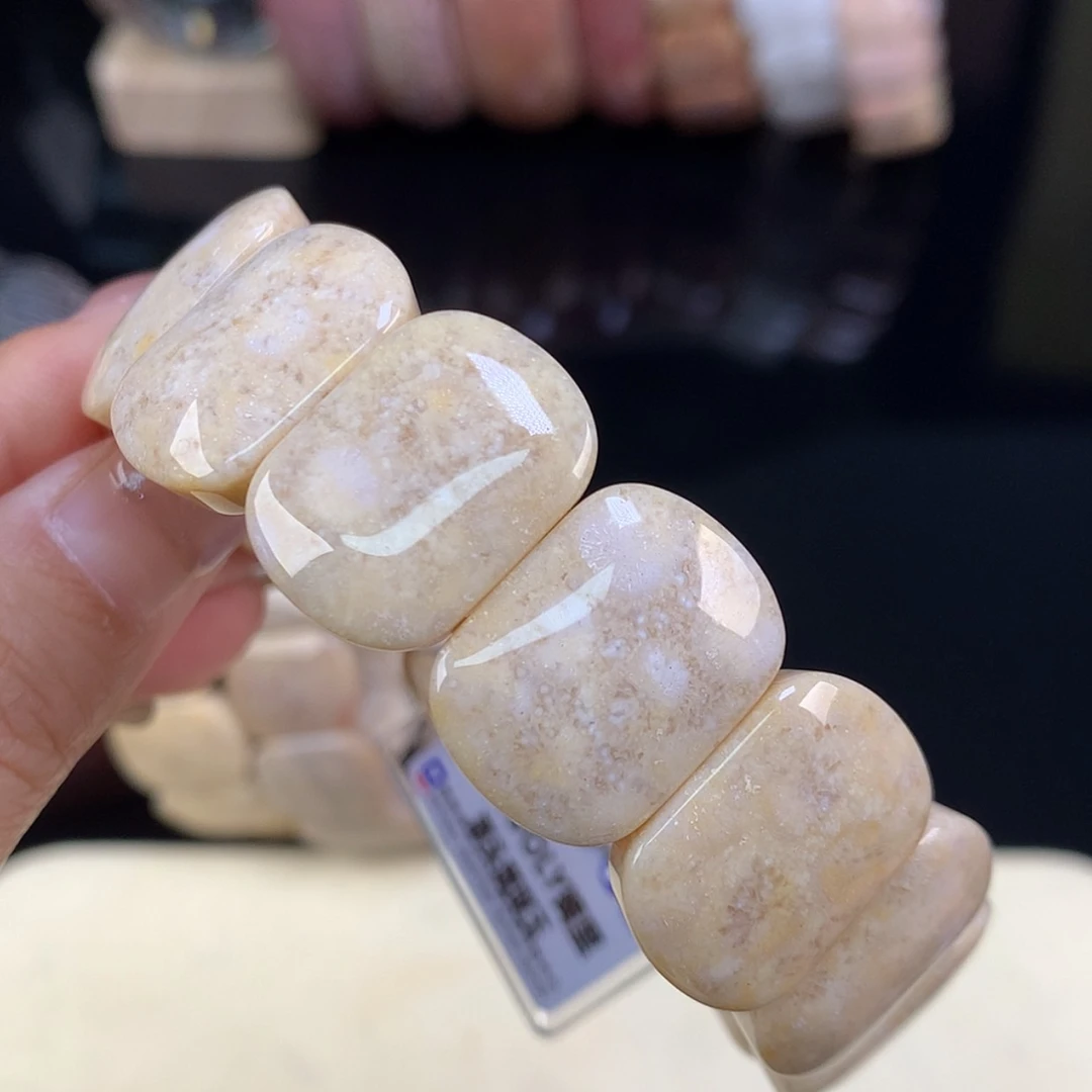【闪购商品】颈饰未镶嵌硅化珊瑚（珊瑚玉）上新手牌3号