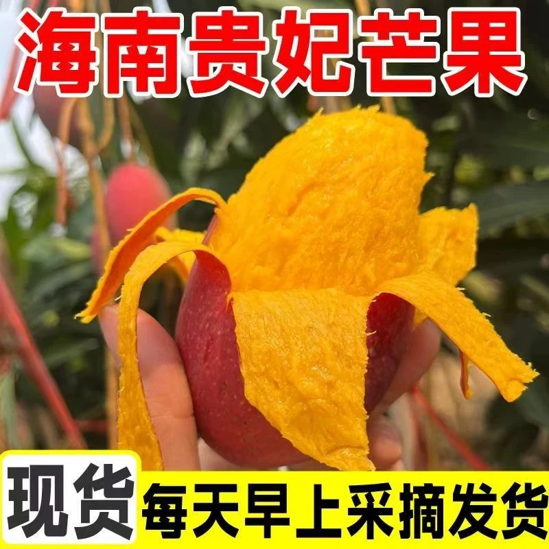 高山即食贵妃芒口口香甜多汁皮薄肉厚顺丰包邮海南直发