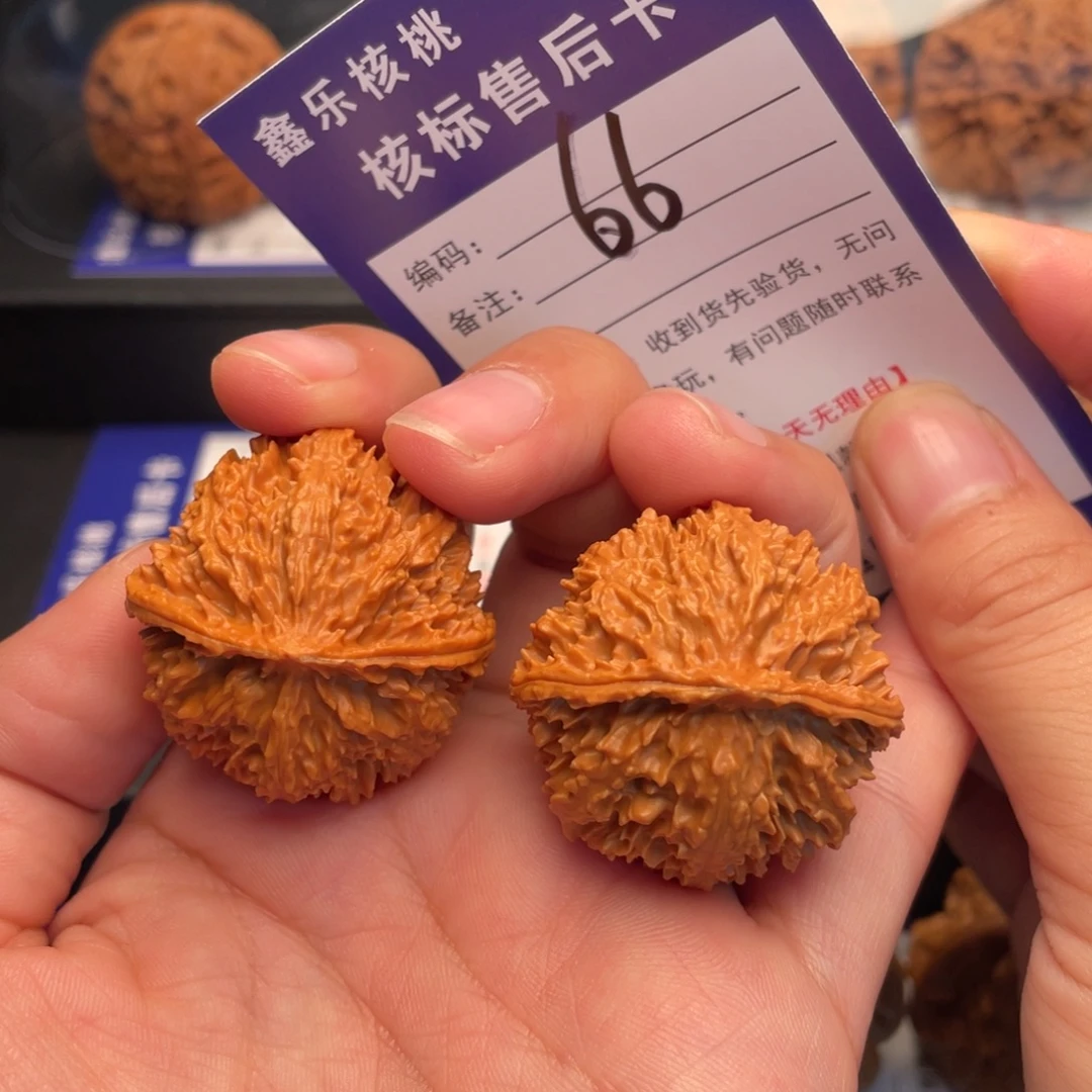 文玩核桃把件野生小满天星