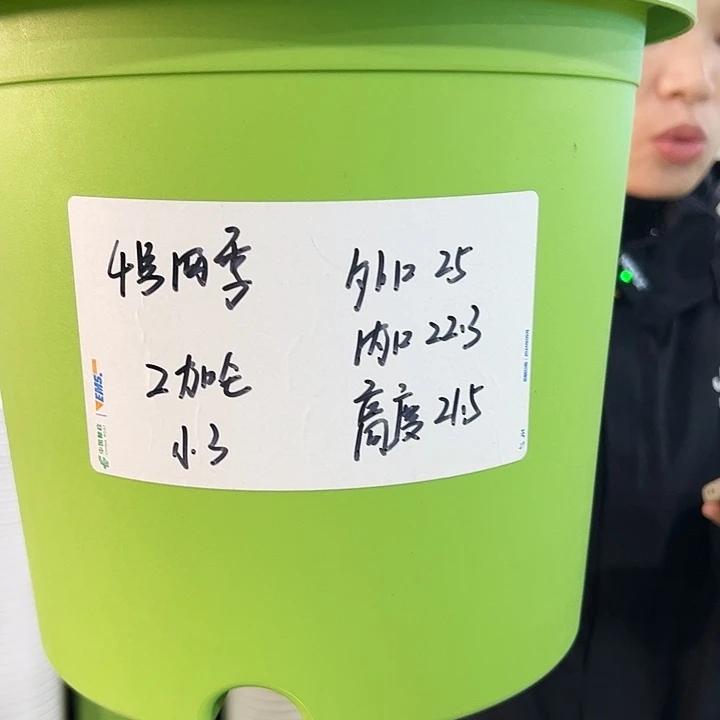 特价4号四季口25高21果绿色8个带托