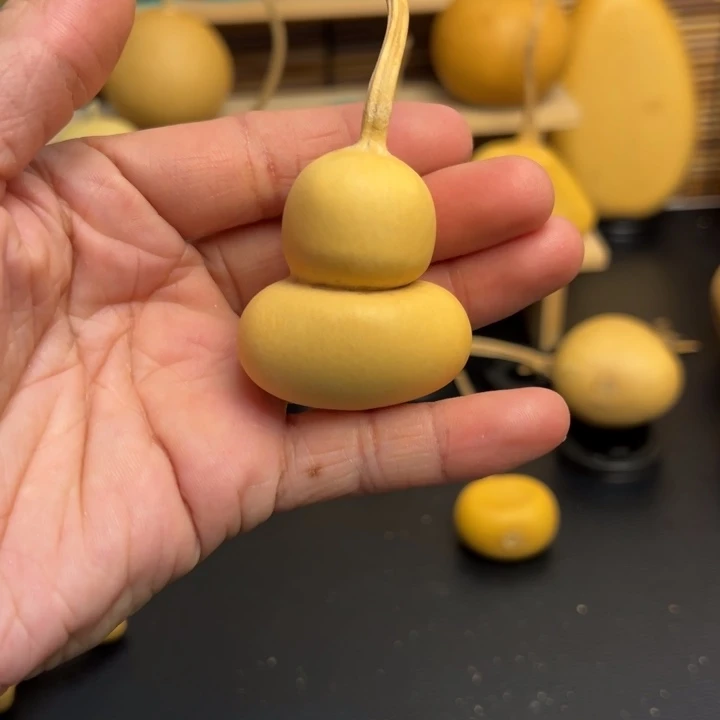 海**酱葫芦葫芦葫芦葫芦葫芦葫芦