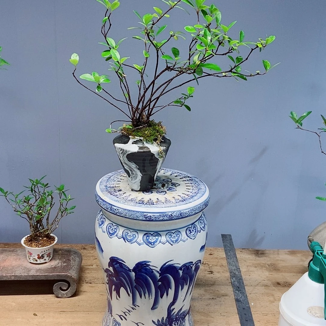 无花朵墨*风感谢您的配合和信任