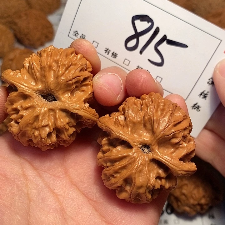 大叶紫檀（黑酸枝木类）苹果园43尺815号