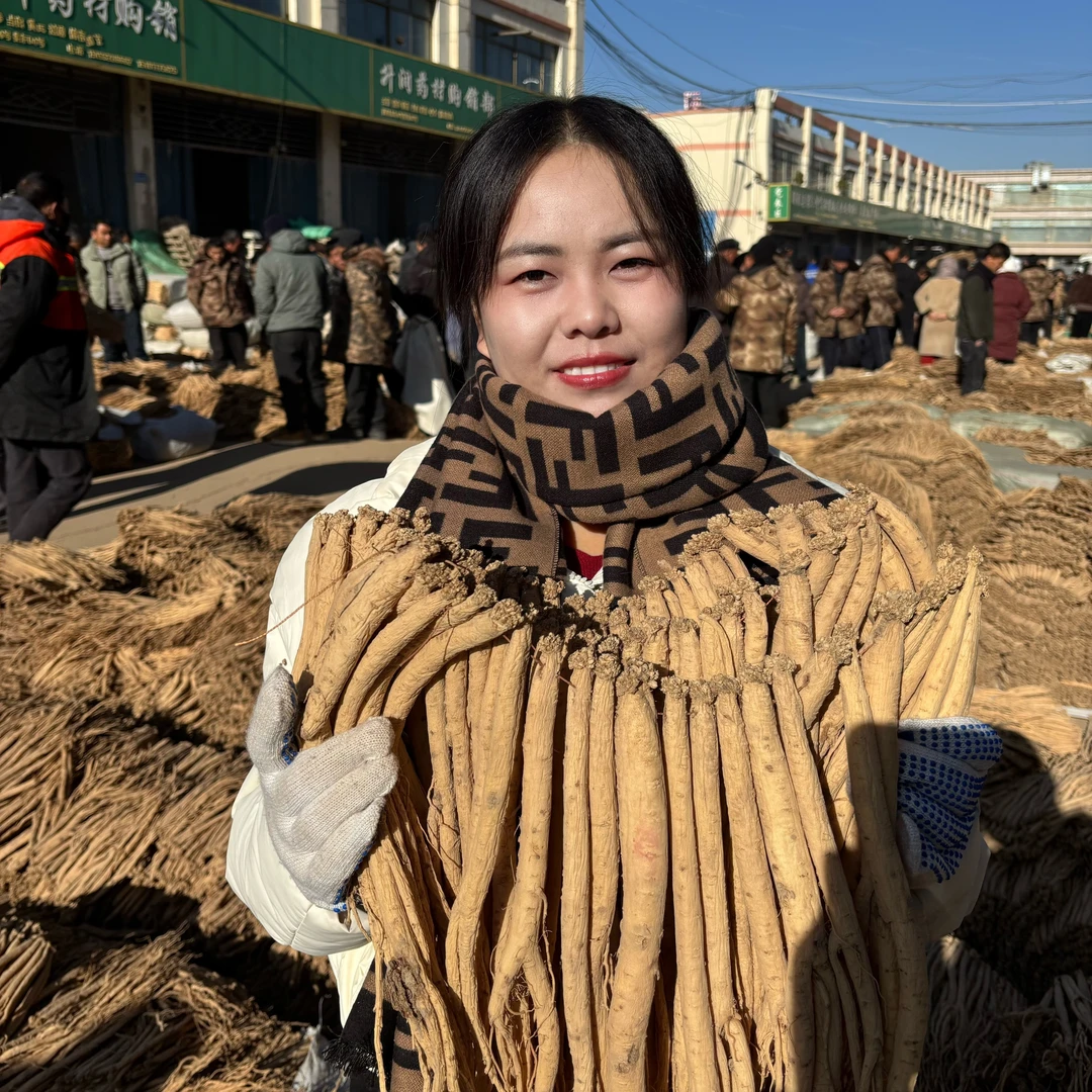 甘肃渭源白条党参新鲜党参高原山地自家种植白条党参（六成干）