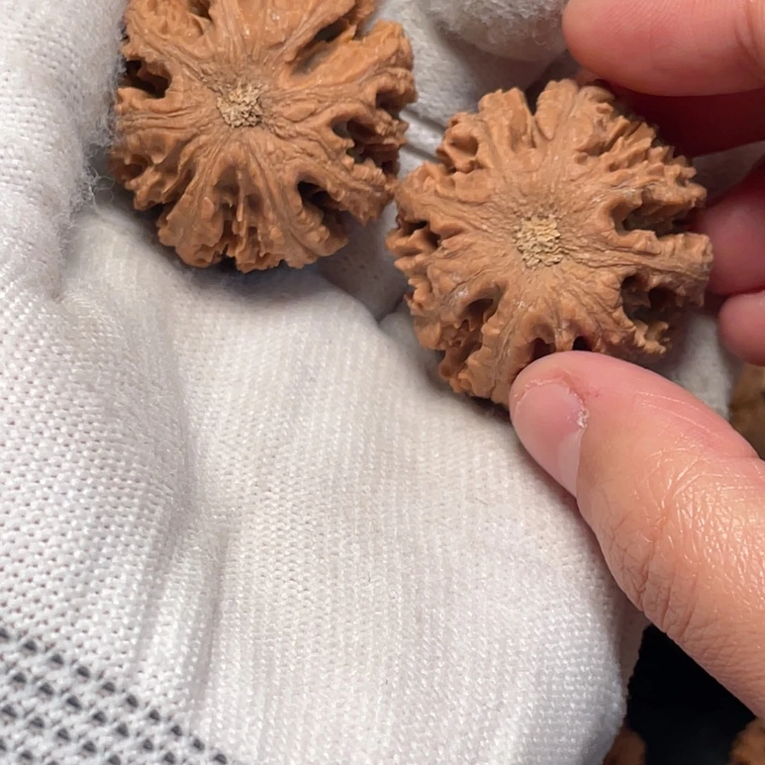 陈***咸桃核吊坠1秦岭灯笼野生小众