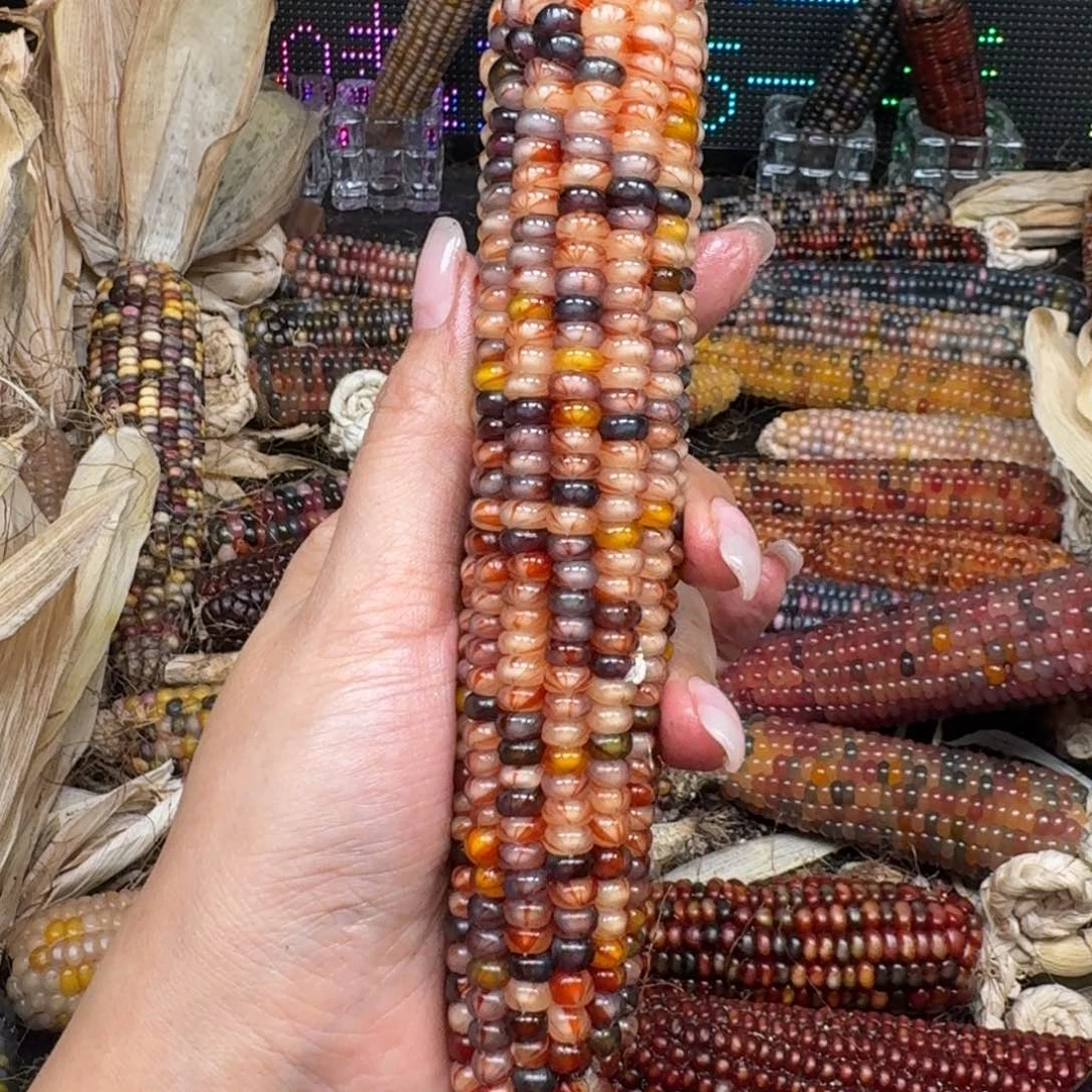 柏香籽/百香籽吊坠?***面