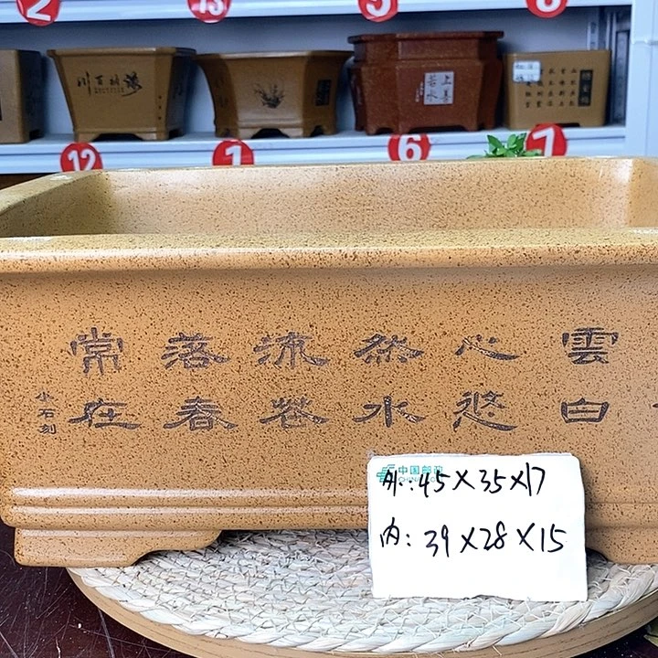 紫砂花盆今天下午