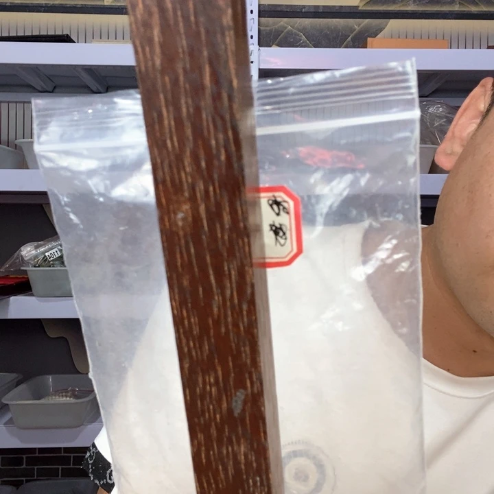 大果紫檀（缅甸花梨）540