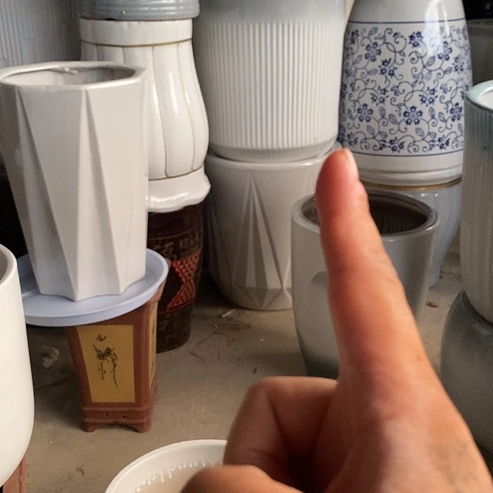 渐变绿细纹大号口32/36