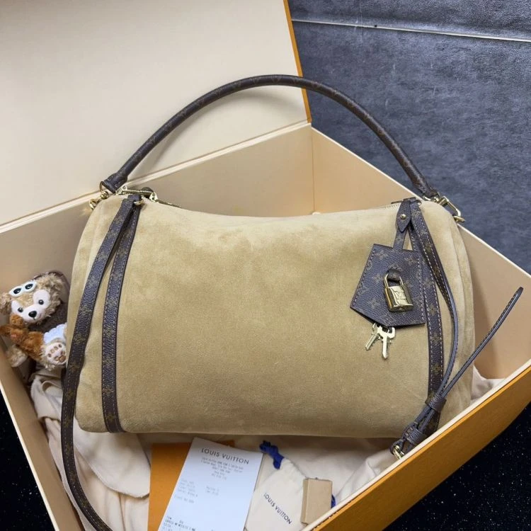 95新/路易威登/C4531077954/[251024LLYC]