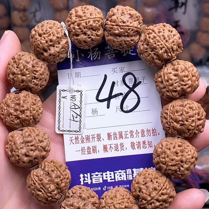 手串金刚菩提21铁骨双龙