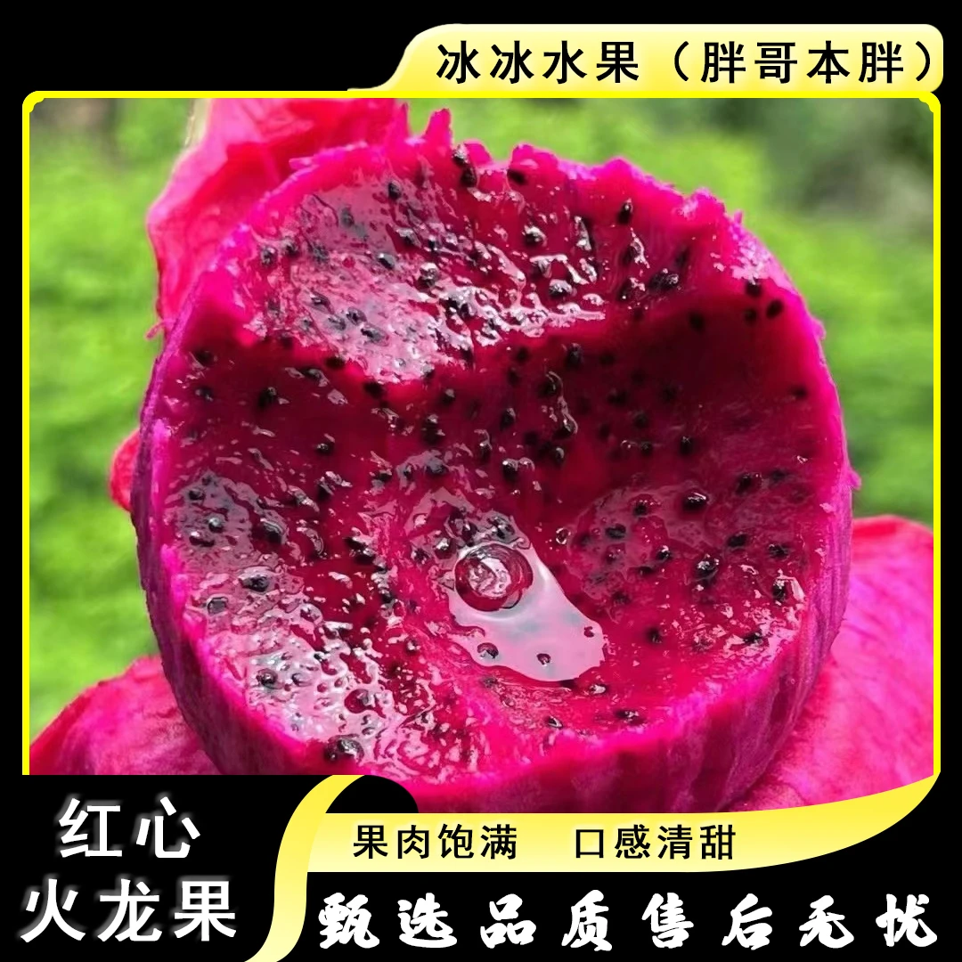 【散装】[N]50#红心火龙果 份/5颗 仅限太原晋中吕梁忻州可拍