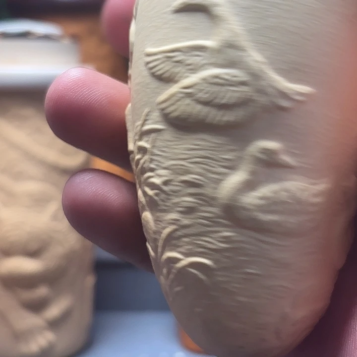 隐隐约约地看到一只大白