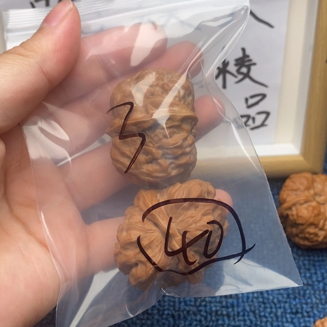 核桃哈哈哈哈哈哈哈哈哈哈哈哈哈