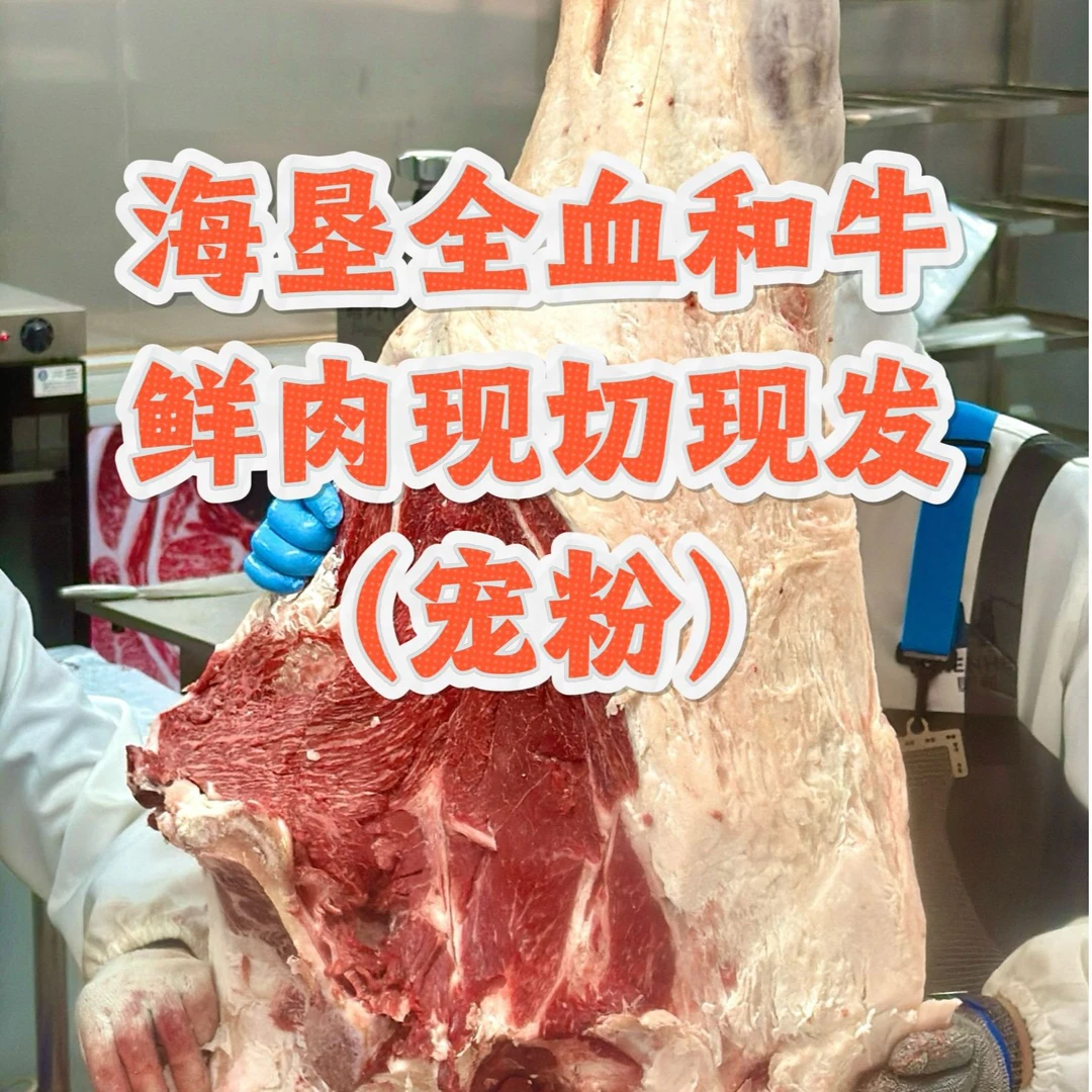 原切牛排鲜切【海垦和牛肉现切现拍】谷饲900天全血黑毛和牛（宠粉1