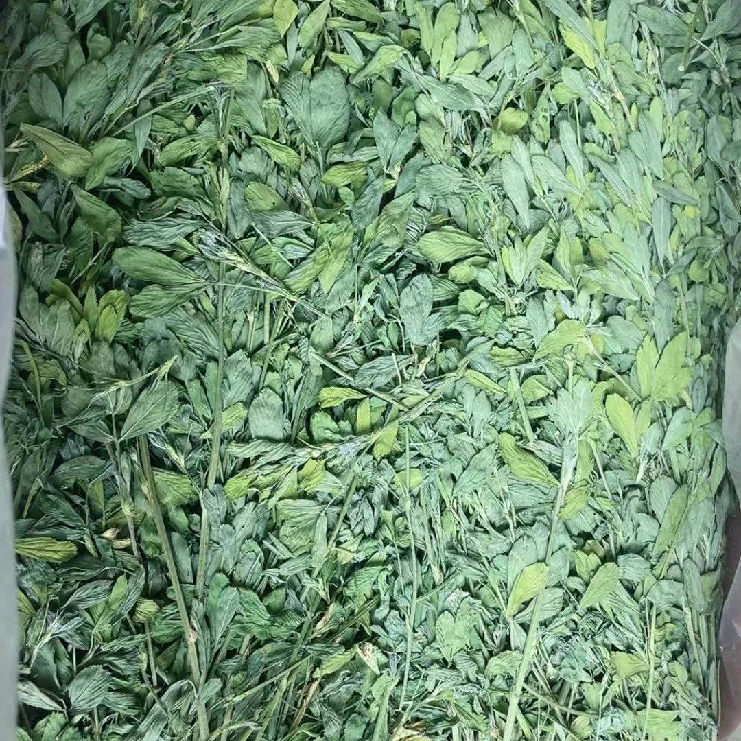 薇薇家精选烘干苜蓿草毛重2000g