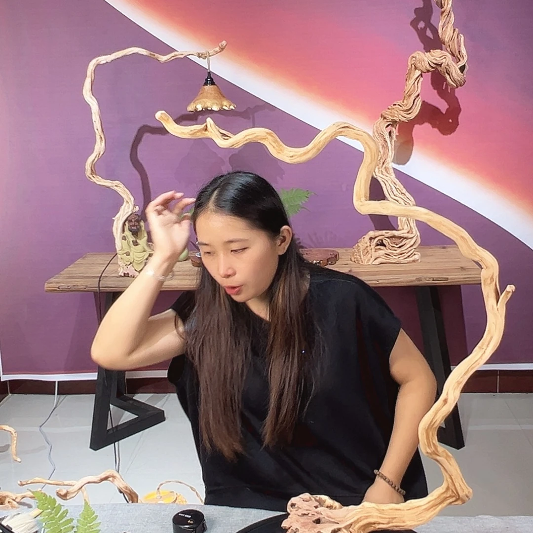掌***柜木天然杜鹃根根艺摆件