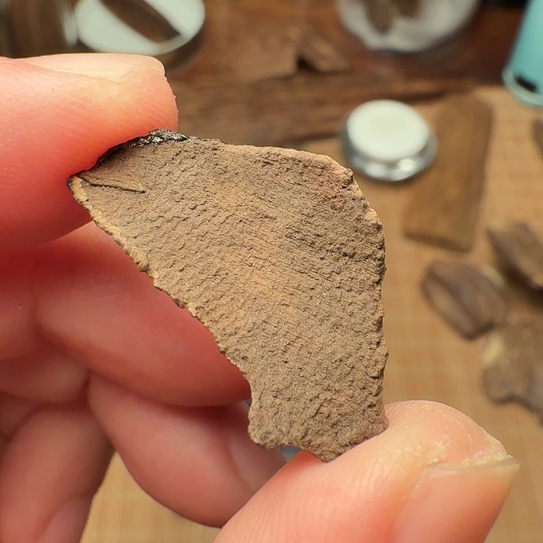 沉香香港鸡母虫漏0.32g