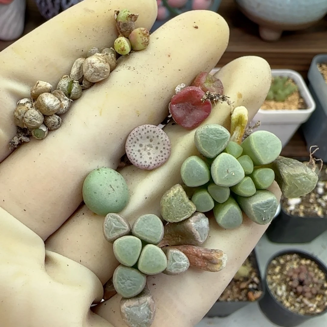 287福利福利福利