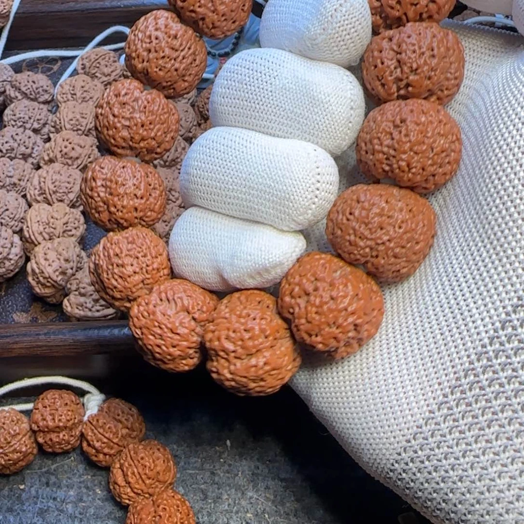 菩提金刚菩提22+菠萝蜜