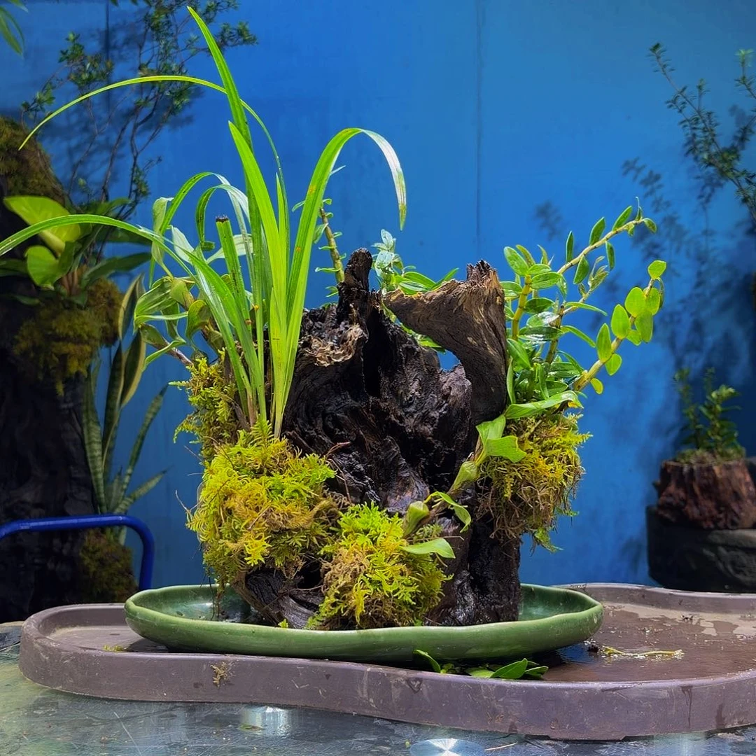 用***5无花朵私人定制1111111111