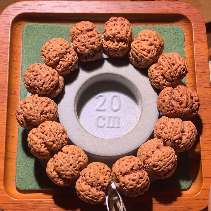 手串金刚菩提26+问鼎梅花