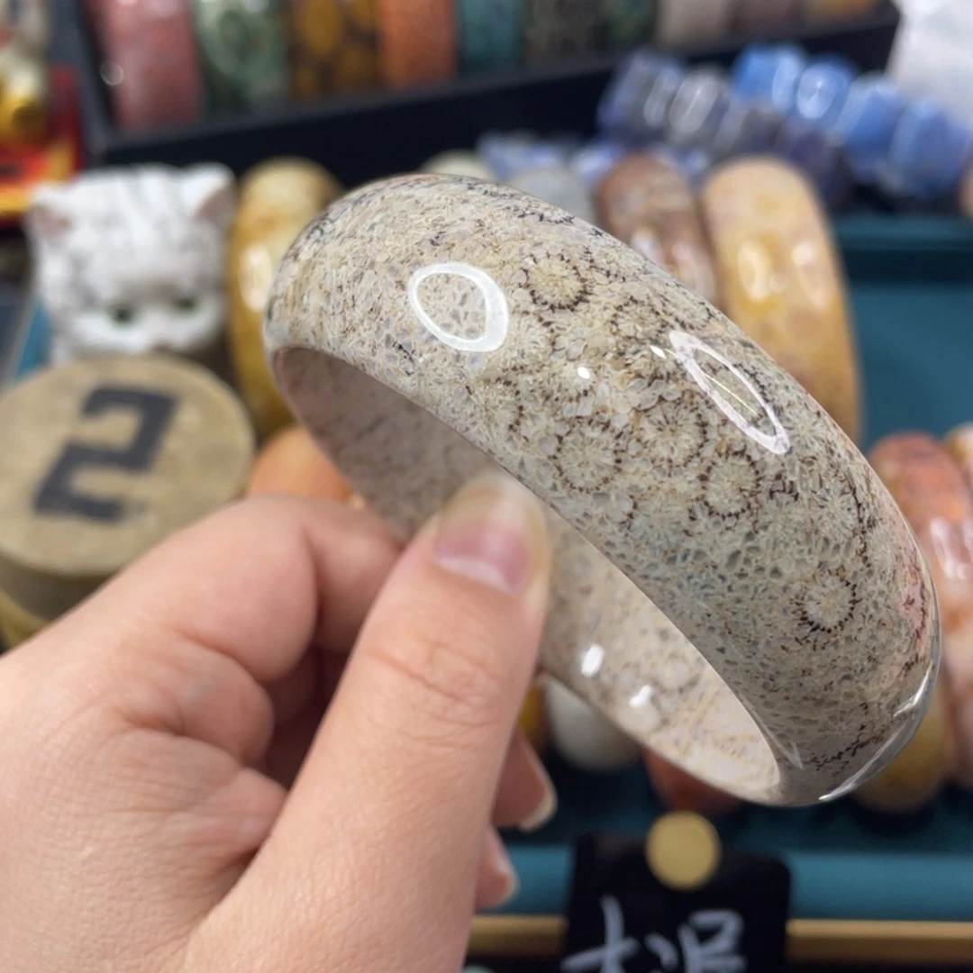 未镶嵌手镯硅化玉