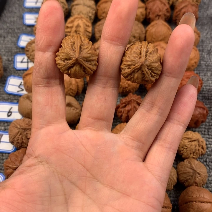 三棱。