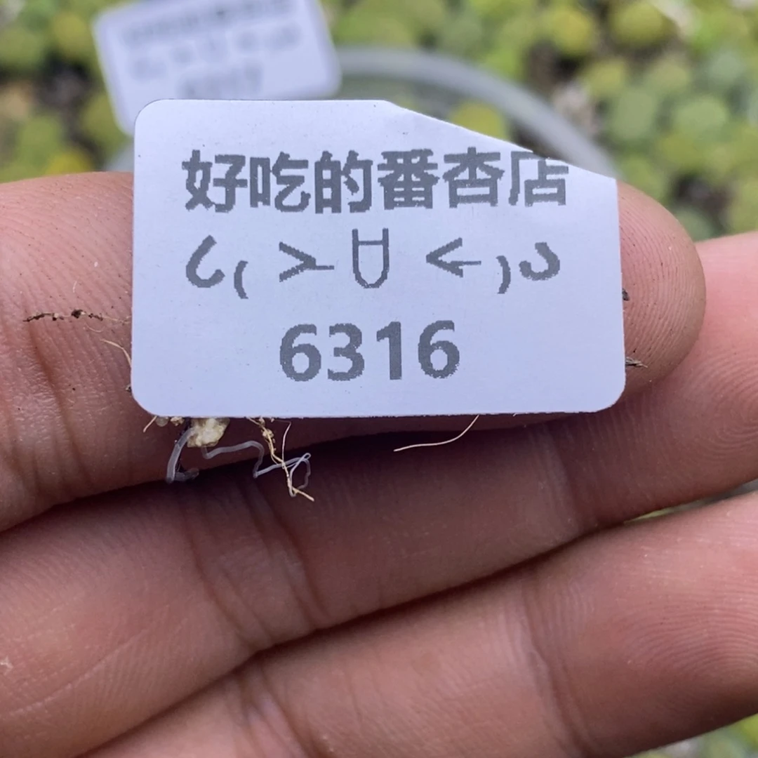 b***76316。18包邮.当天凑哦。新疆西藏88包邮