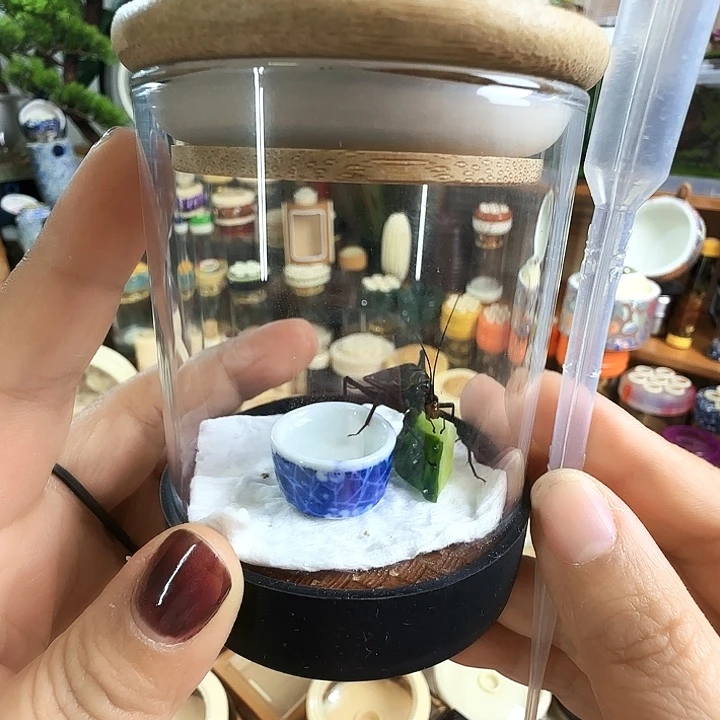 玻璃罐➕麒麟啊啊啊啊啊