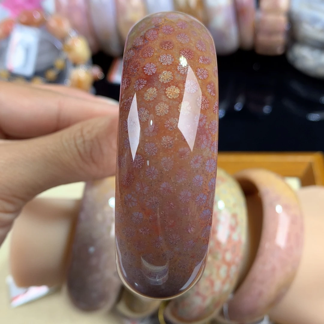 硅化珊瑚（珊瑚玉）未镶嵌吊坠(赠链)25号60圈口