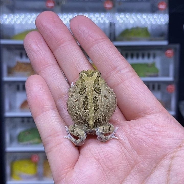 特价秒杀现货特价